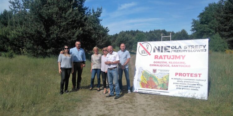 Nie dla strefy, nie dla wycinki drzew