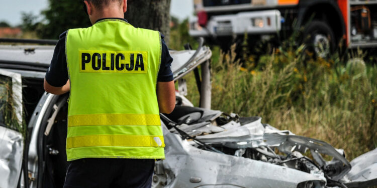 Nie dajmy się zabić na drodze …