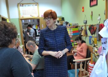 E.Rafalska: Domy samopomocy potrzebne w każdym powiecie