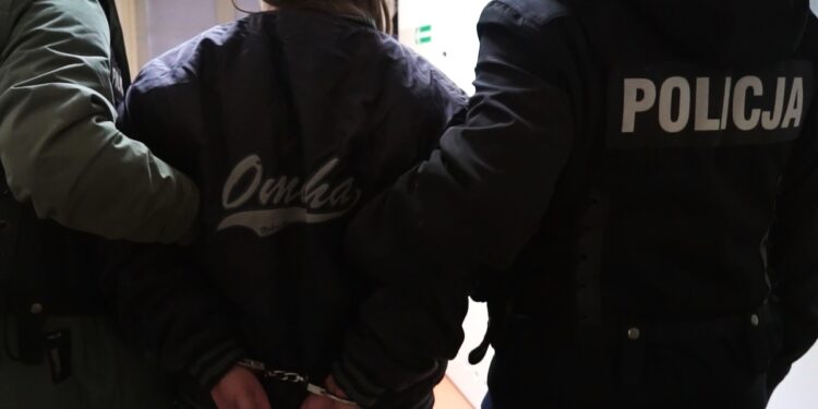 29-latka z zarzutem zabójstwa