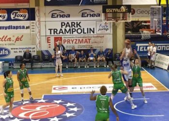 Pszczółki lepsze od akademiczek