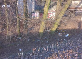 Interwencja RG: Będzie wielkie sprzątanie na Wale Okrężnym