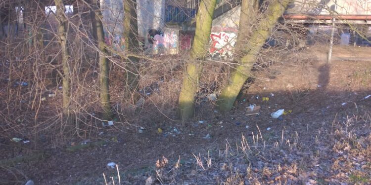 Interwencja RG: Będzie wielkie sprzątanie na Wale Okrężnym