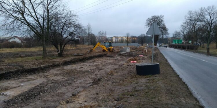 Na Walczaka jest problem z drzewami