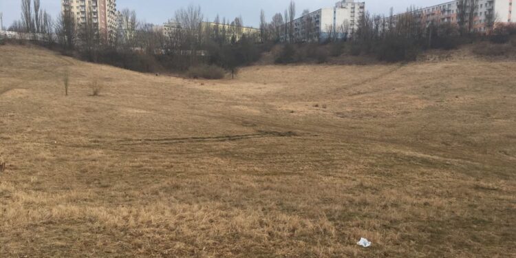 Ogród botaniczny za filharmonią