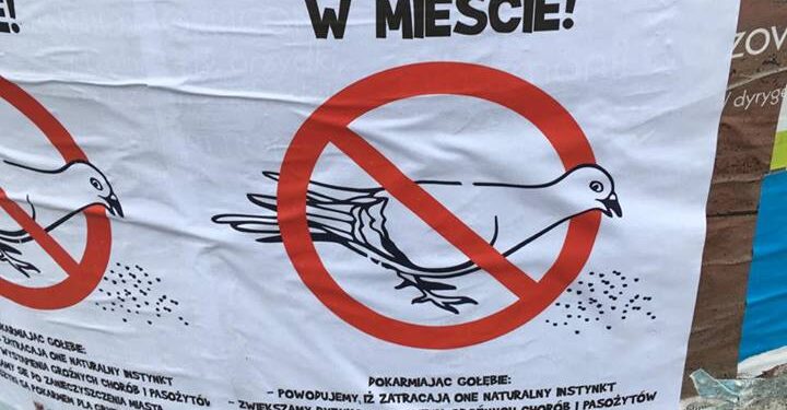 Gołębi problem