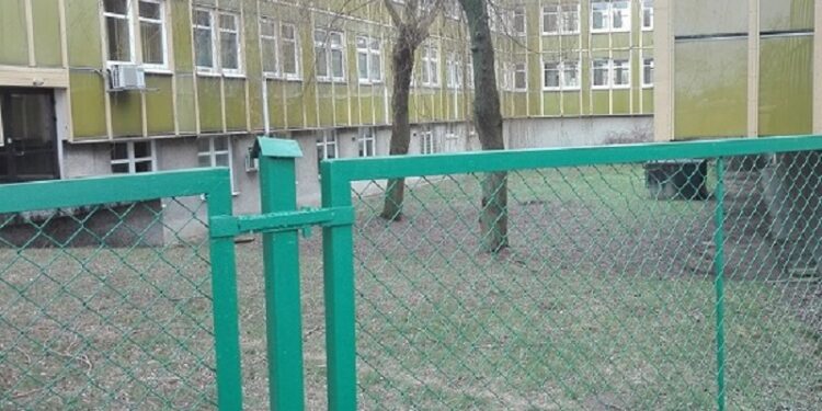 Konflikt o bezpańskie przyszpitalne koty