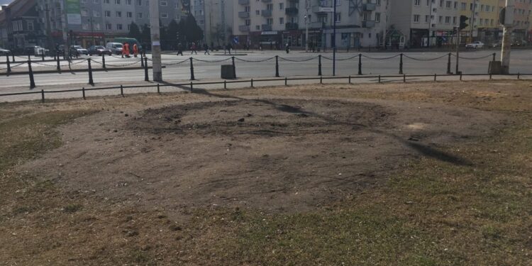 Na skwerach pojawią się kwiaty