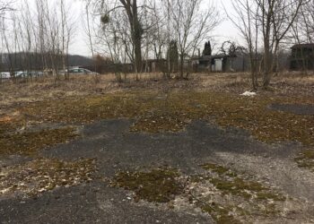 Jest decyzja, można projektować ośrodek TVP