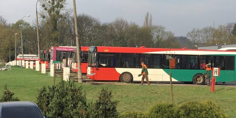 Dziewczyny znów na autobusy