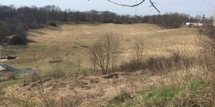 Pomysł arboretum podzielił mieszkańców