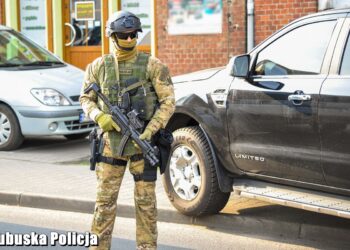 Akcja policji przeciwko sutenerom