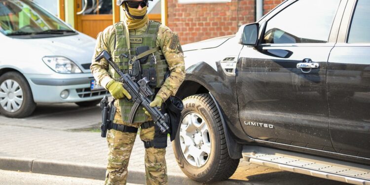 Akcja policji przeciwko sutenerom
