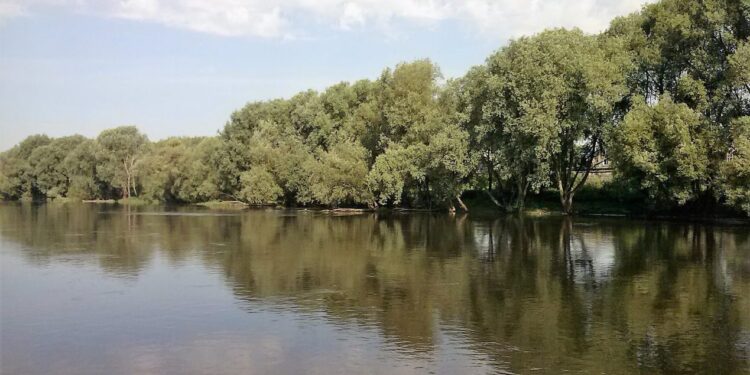 Jezioro Marwicko – i co dalej?