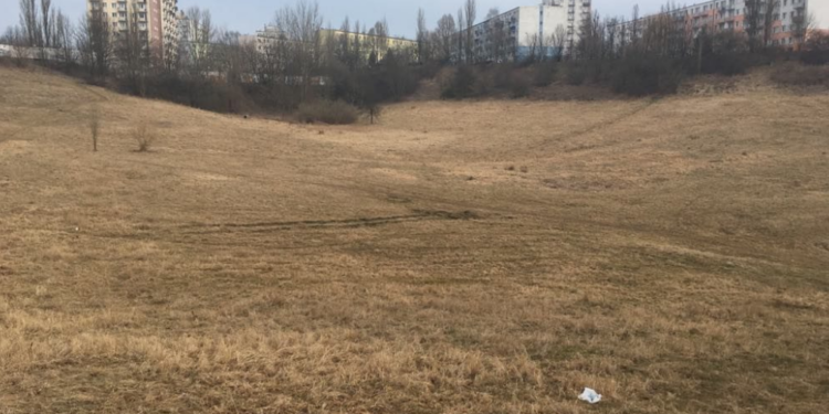 Gorzowianie podzieleni w sprawie ogrodu botanicznego