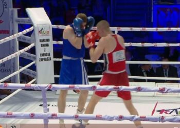 Srebrny Niedźwiecki