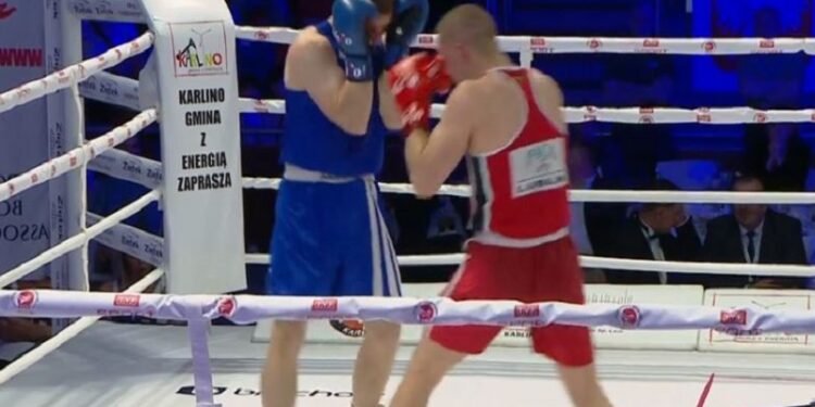 Srebrny Niedźwiecki