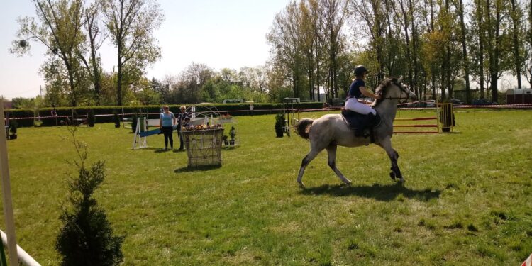 Zawody konne w Zespole Szkół Ogrodniczych w Zieleńcu