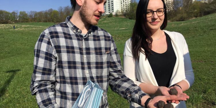 Wspólne sprzątanie Dolinek