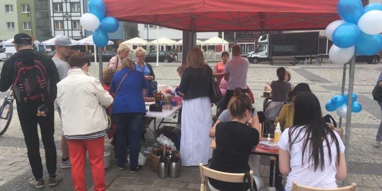 Odłowią dziki z miasta