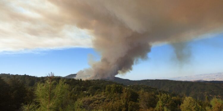 Lasy suche jak pieprz. Leśnicy apelują o czujność