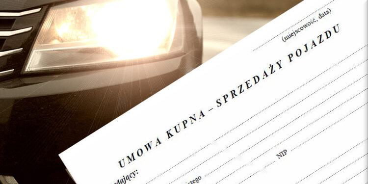 127 zarzutów dla oszusta internetowego