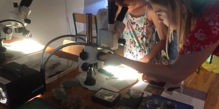 Piknik naukowy w Spichlerzu