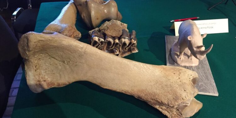 Trójstronne porozumienie w sprawie Stefanii