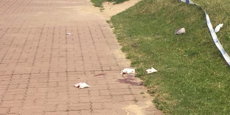 Brutalny napad na Górczyńskiej