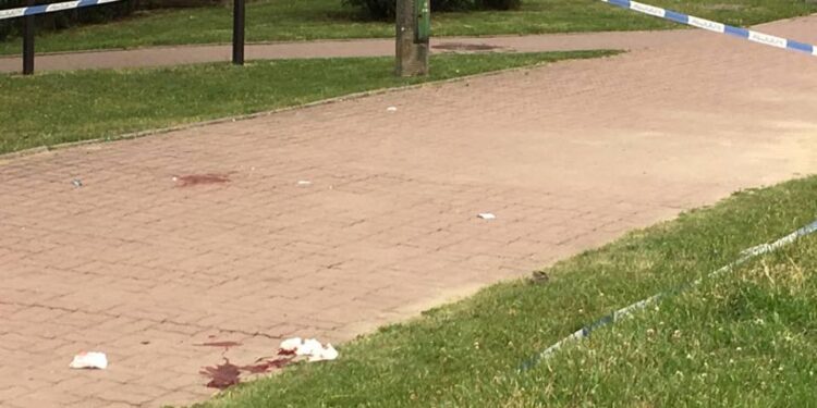 Brutalny napad na Górczyńskiej