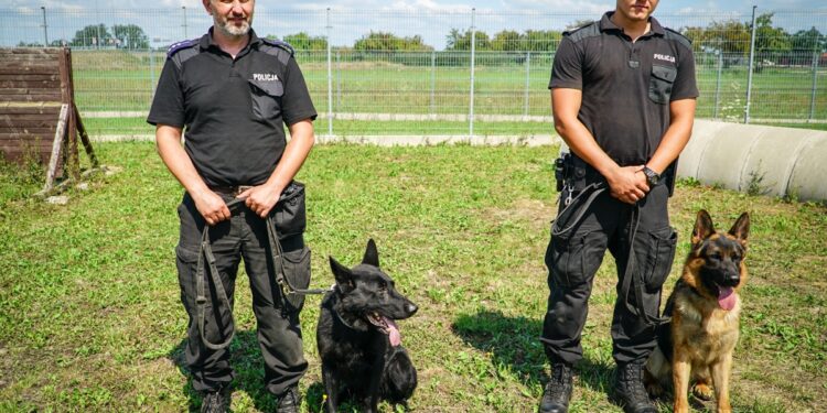 Imar i Laki jadą na mistrzostwa Polski