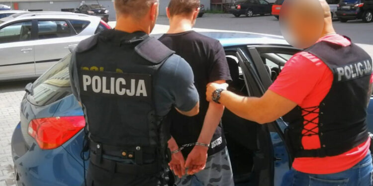 Bestialsko zabił kilkanaście jeży