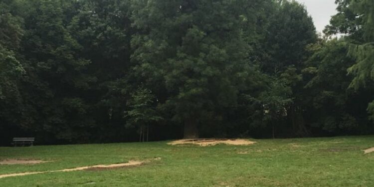 Czy przy Dąbrowskiego likwidują plac zabaw?