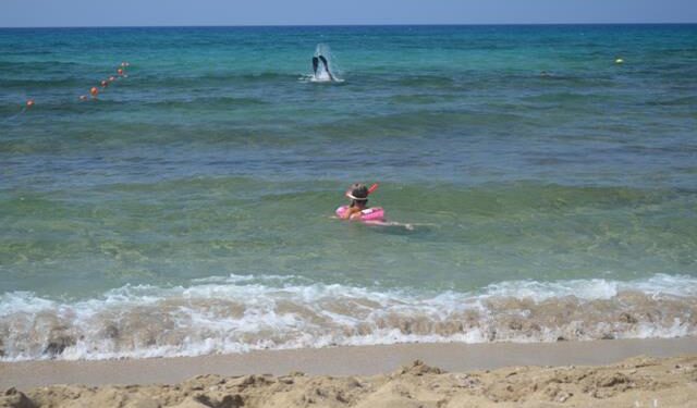 Grecja nadal atrakcyjna dla gorzowian