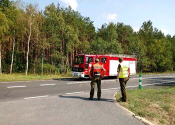 Pożar lasu w Boleminie opanowany