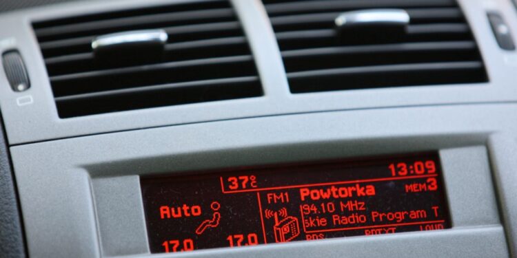 Afrykański upał w Gorzowie [ZDJĘCIA]