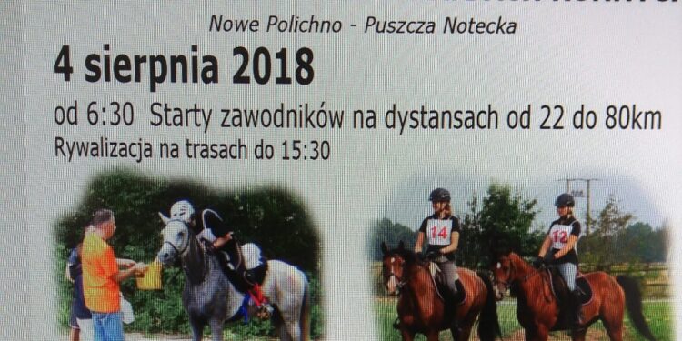 Długodystansowe rajdy konne w Nowym Polichnie