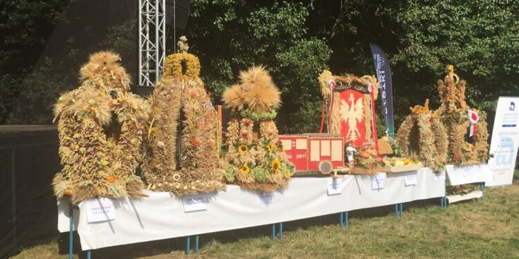 Święto Chleba w Bogdańcu