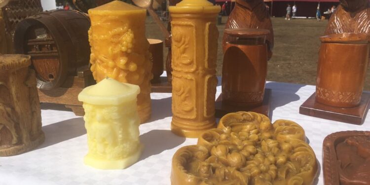 Animalia w ramach Końca Lata Party