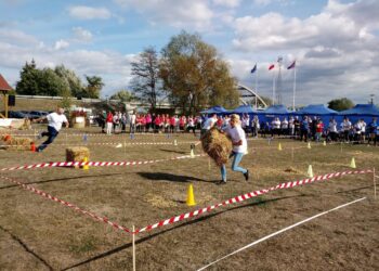 Rywalizują o złote widły wójta