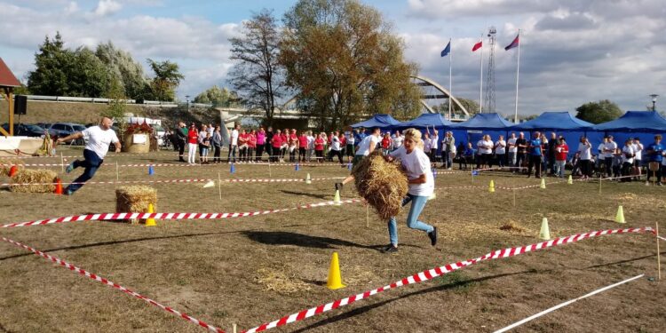 Rywalizują o złote widły wójta