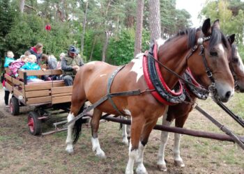 Podopieczni „Jaskółki” na wycieczce w Lubniewicach