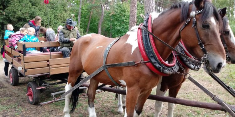 Podopieczni „Jaskółki” na wycieczce w Lubniewicach