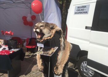 Celnicy pokazali co przywozimy z wakacji