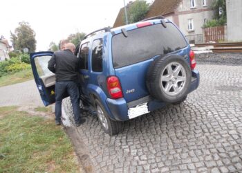 autor: Piotr Wiśniewski