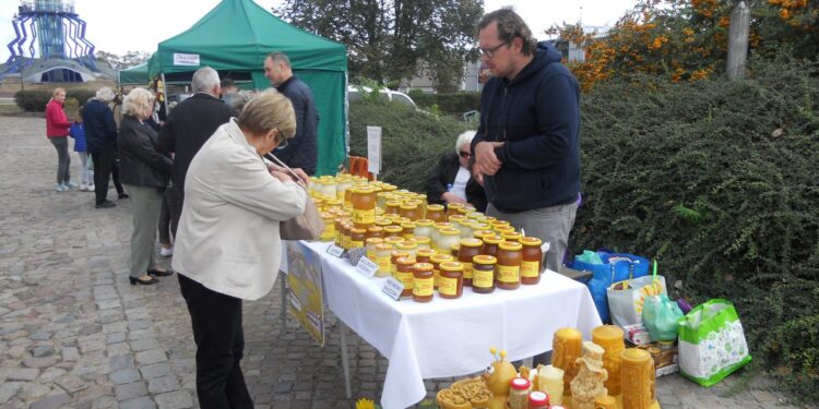 autor: Piotr Wiśniewski