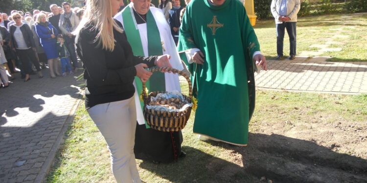 autor: Piotr Wiśniewski