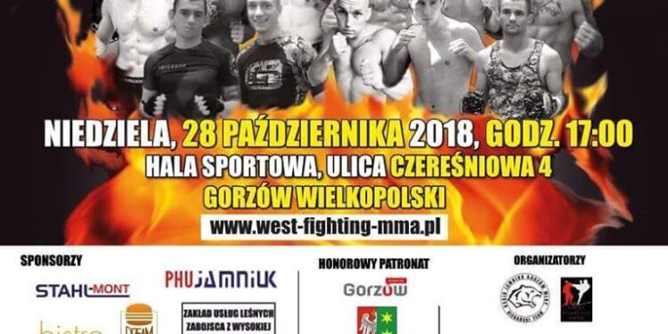 W niedzielę uczta dla fanów MMA