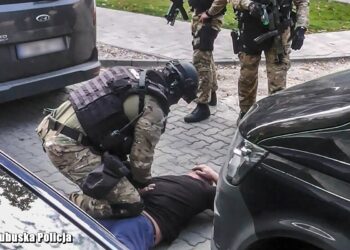 Członkowie grupy sutenerów w rękach policji