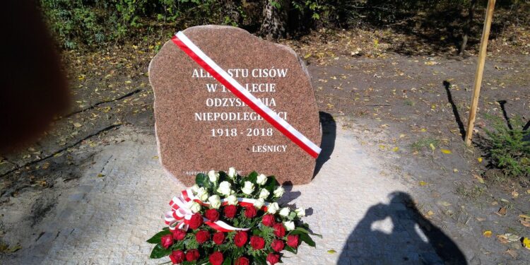 100 cisów na 100-lecie odzyskania niepodległości